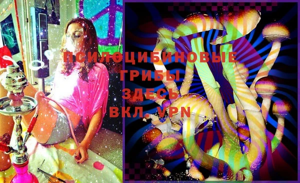 ECSTASY Михайловск