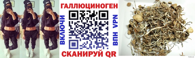 МЕГА ССЫЛКА  Кандалакша  Псилоцибиновые грибы Cubensis 