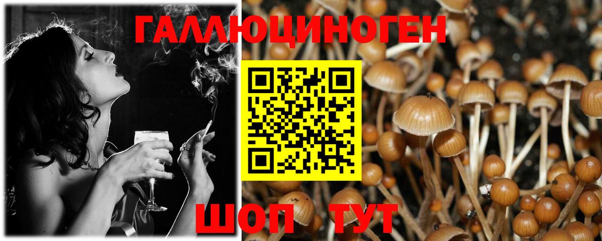 Псилоцибиновые грибы ЛСД Кандалакша